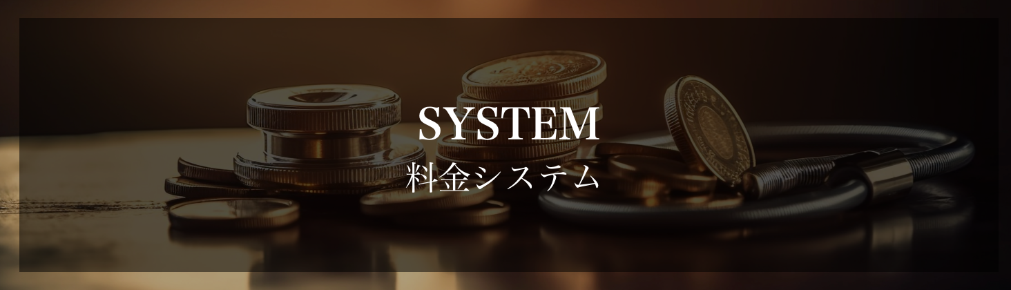 料金システム